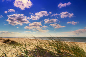 Netherlands, Holland, on the West Frisian island of Texel, Province of North Holland Netherlands, Holland, on the West Frisian island of Texel, Province of North Holland